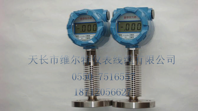 防爆數字顯示壓力表