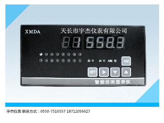 XMDA-9000智能巡回顯示調節儀